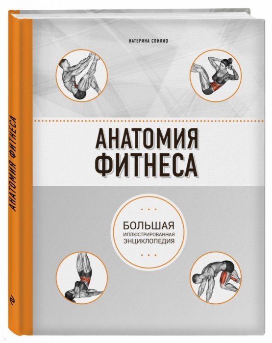 

Анатомия фитнеса