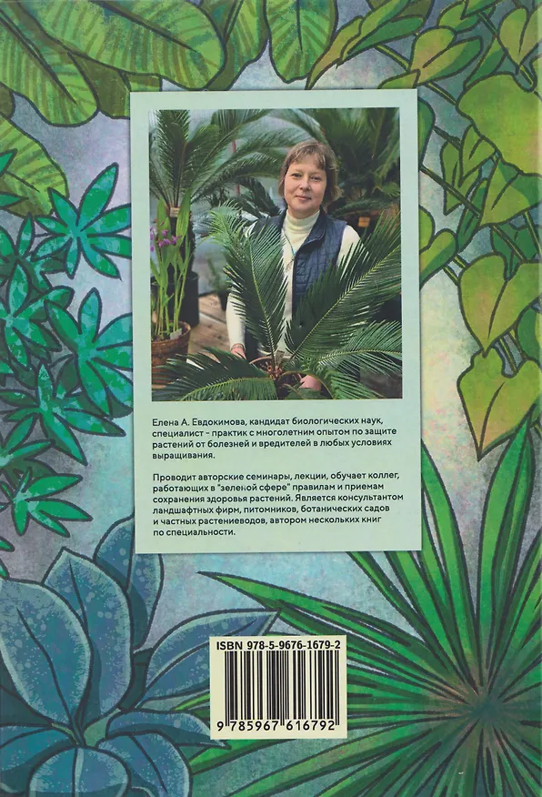 Книга Секреты «домашних» растений: мифы и реальность (Елена Евдокимова) — 2