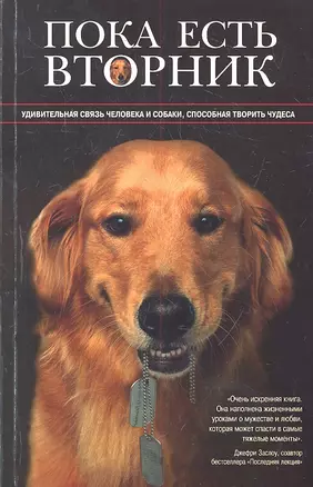 Пока есть Вторник. Удивительная связь человека и собаки, способная творить чудеса — 2316986 — 1