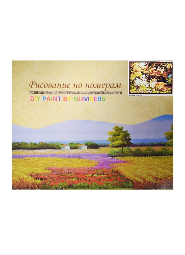 Набор для раскрашивания по номерам (GX6095) (7706678) (40х50см) (коробка) 2483382 — 1