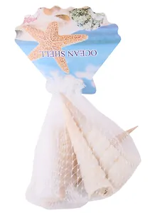 Декоративные ракушки витые, 5 штук