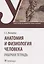 Анатомия и физиология человека. Рабочая тетрадь. Учебное пособие — 2958566 — 1