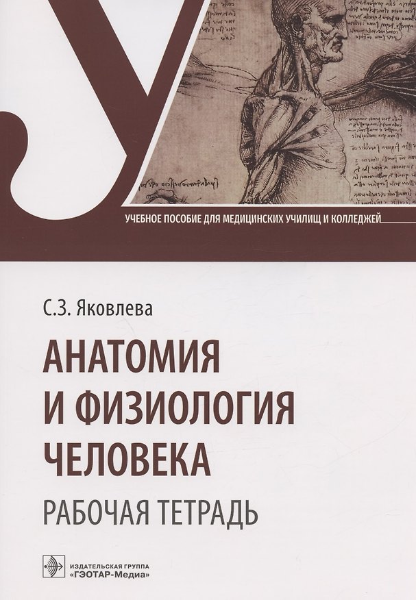 Книга Анатомия и физиология человека. Рабочая тетрадь. Учебное пособие (Светлана Яковлева) — 1