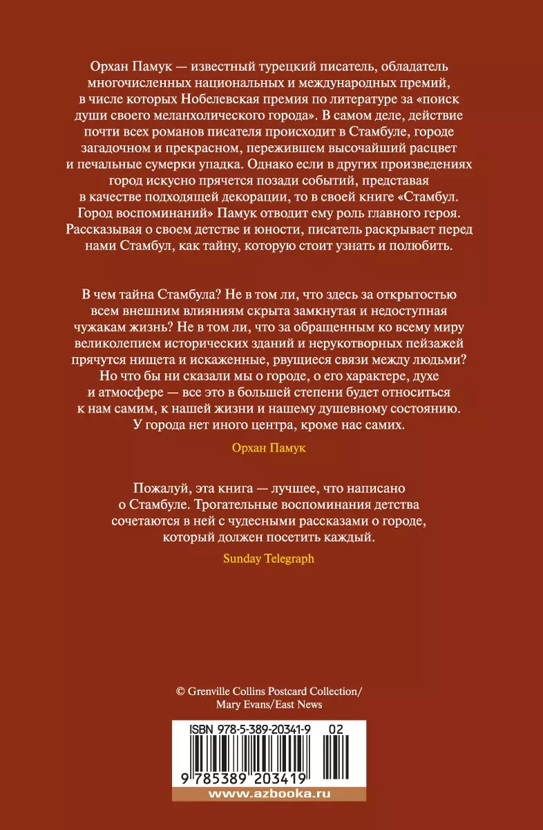 Стамбул. Город воспоминаний (Орхан Памук) - купить книгу с доставкой в  интернет-магазине «Читай-город». ISBN: 978-5-389-20341-9