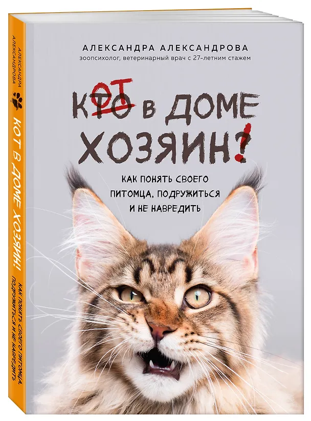 Книга Кот в доме хозяин! Как понять своего питомца, подружиться и не навредить (новое оформление) (Александра Александрова) — 4