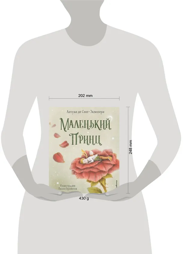 Книга Маленький принц (ил. П. Пройетти) (Антуан де Сент-Экзюпери) — 13