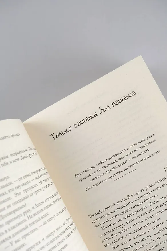 Книга Цикады (Ася Володина) — 13