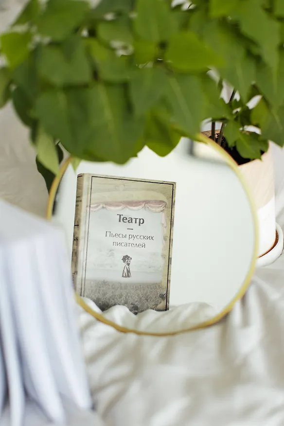 Книга Театр. Пьесы русских писателей (Александр Грибоедов, Денис Фонвизин, Николай Гоголь) — 14