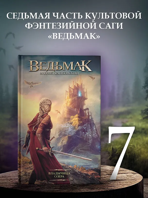 Книга Владычица Озера (Анджей Сапковский) — 6