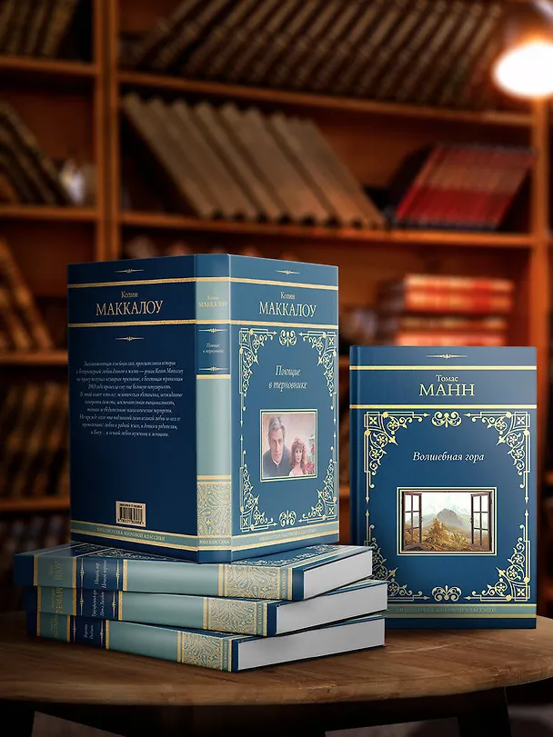 Книга Волшебная гора (Томас Манн) — 7