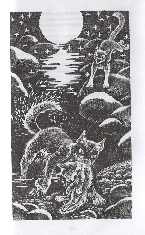 Книга Гроза и Тень (Эрин Хантер) — 3