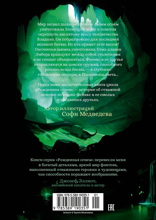 Книга Рожденная огнем. Книга 3. Синичка и Подземелье света (Ашлин Фаулер) — 2
