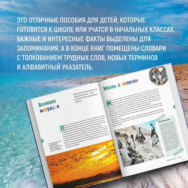 Книга Тайны морей и океанов. Большая иллюстрированная энциклопедия (Франческо Мило) — 11