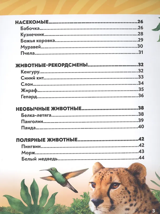 Книга В мире животных. Фотоэнциклопедия для детей (Алёна Лядова) — 7