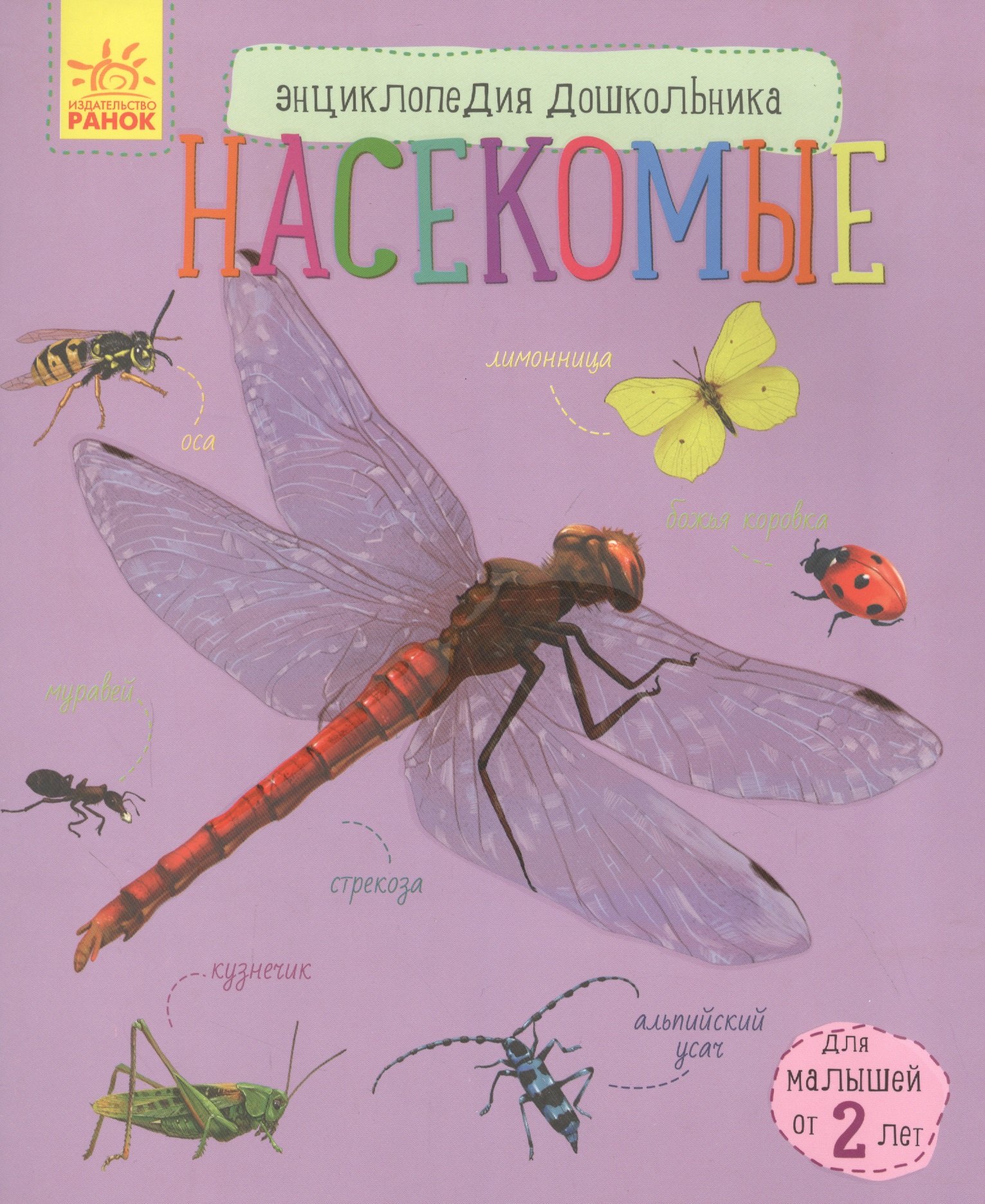 

Насекомые