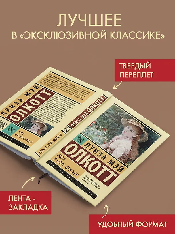 Книга Роза и семь братьев (Луиза Мэй Олкотт) — 4