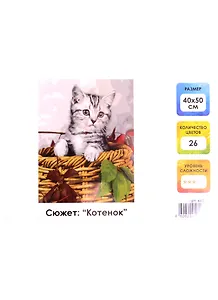 Картина по номерам на холсте с подрамником Котенок (40х50 см) (26 цв) (662468) (коробка) (Остров сокровищ)