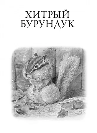 Книга Рассказы о природе (Геннадий Снегирев) — 3