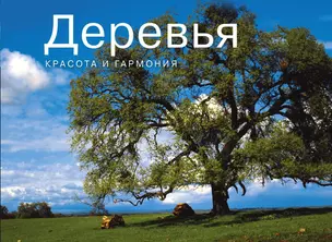 Деревья. Красота и гармония — 2380816 — 1