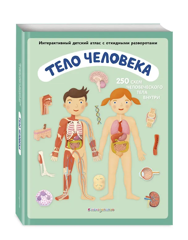 Книга Тело человека. Интерактивный детский атлас с откидными разворотами (Олдрих Ружичка) — 5