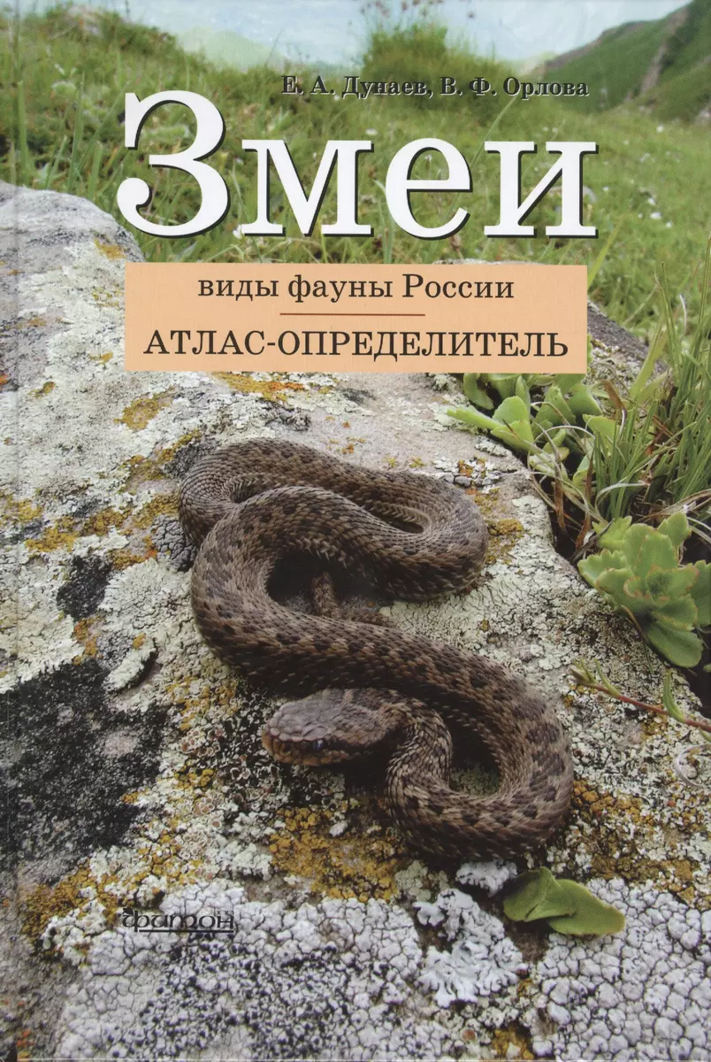 Змеи. Виды фауны России: Атлас-определитель (Евгений Дунаев) - купить книгу  с доставкой в интернет-магазине «Читай-город». ISBN: 978-5-906171-61-0