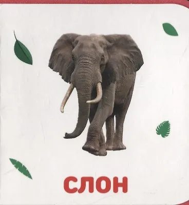 Книга Дикие животные () — 4
