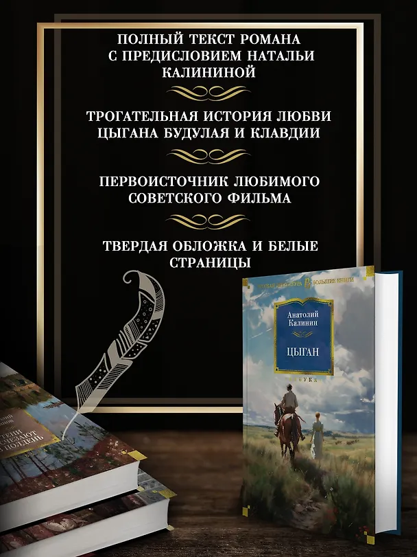 Книга Цыган (Анатолий Калинин) — 5