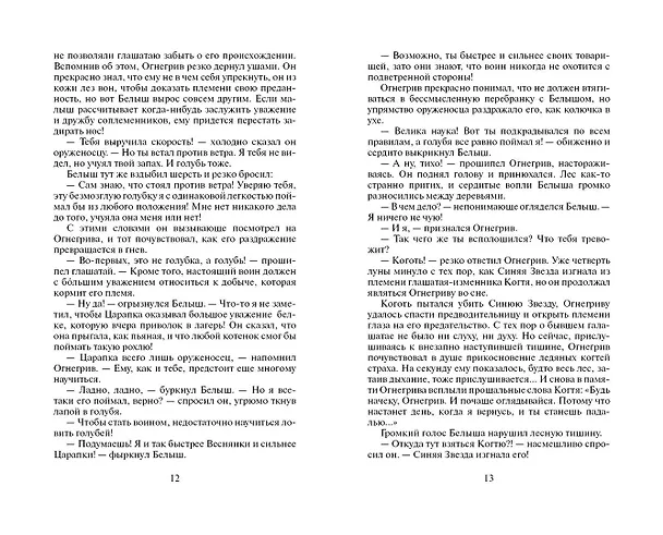 Книга Бушующая стихия (Эрин Хантер) — 6