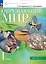 Окружающий мир. 1 класс. Учебное пособие. В двух частях. Часть 2 — 2983531 — 1