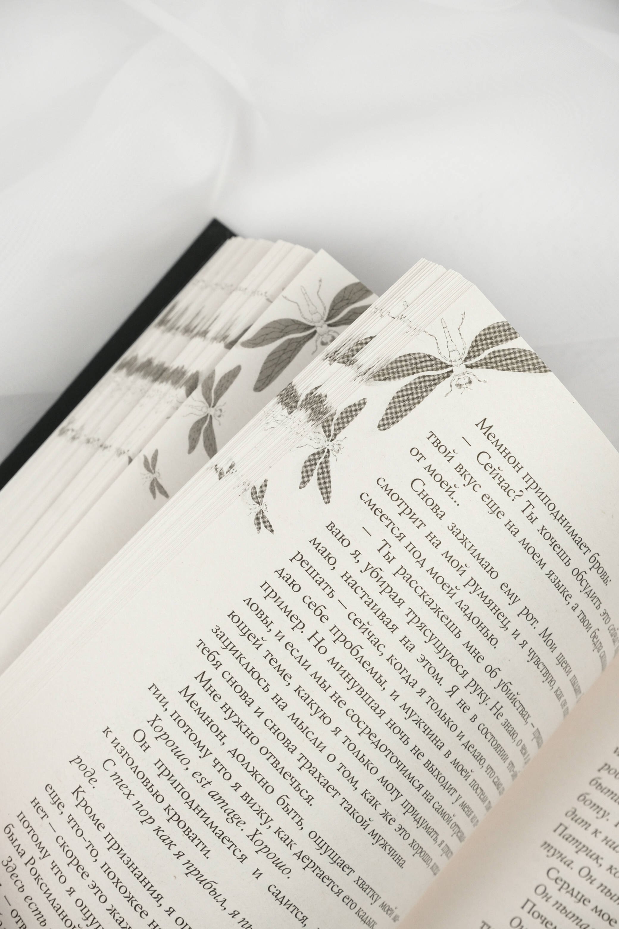 Изображение бумажной книги