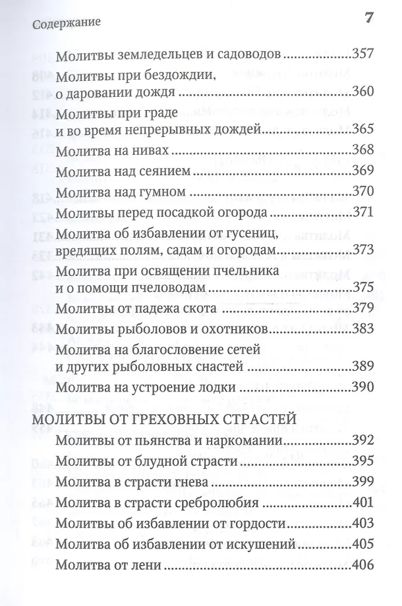 Книга Молитвенная защита православного христианина. Молитвы на всякую потребу ко Господу Иисусу Христу, Его Пречистой Матери... () — 6