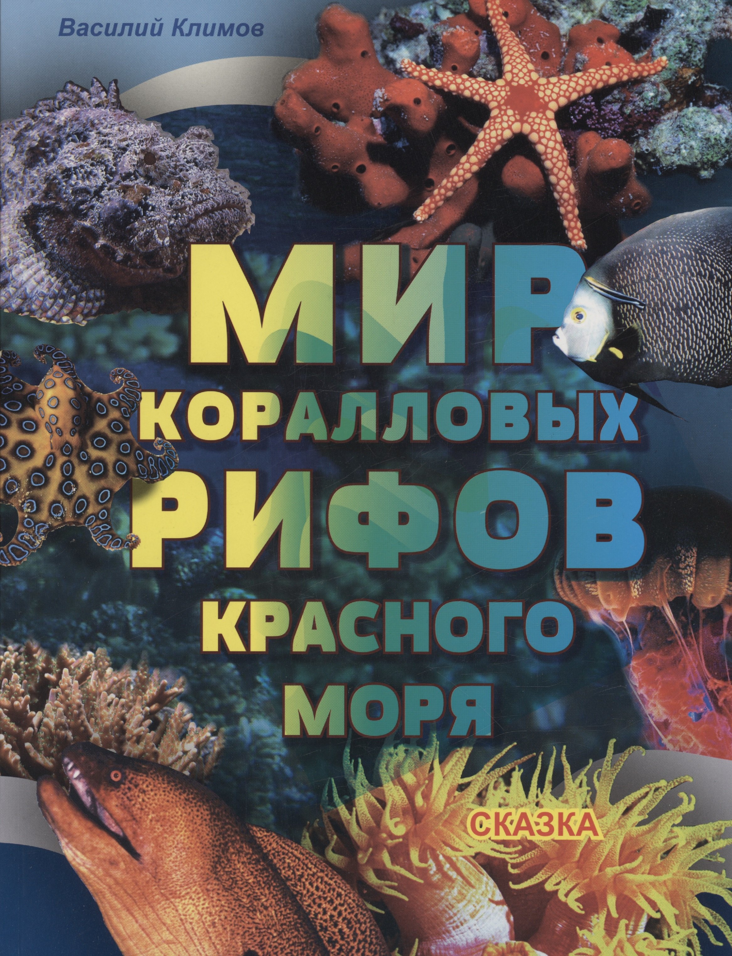 

Мир коралловых рифов Красного моря