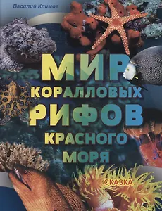 Мир коралловых рифов Красного моря
