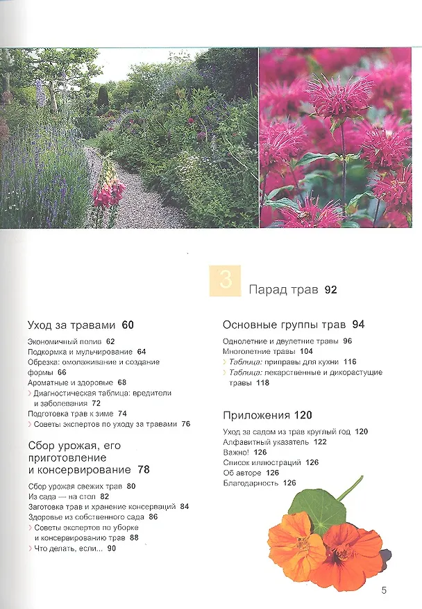 Книга Лекарственные и пряные травы () — 3