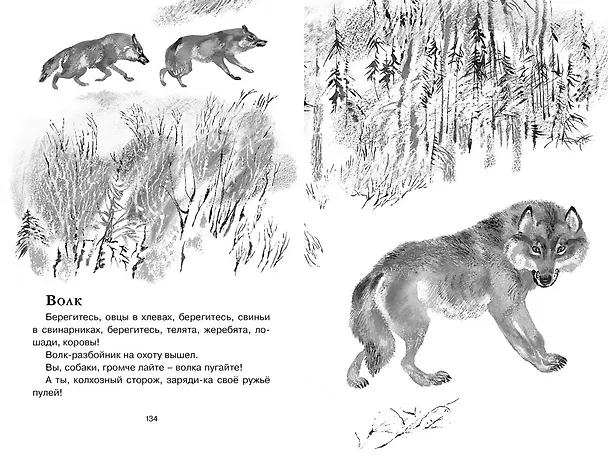 Книга Друзья (Евгений Чарушин) — 14