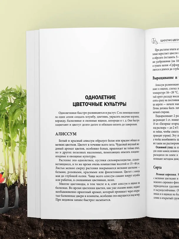 Книга Дачная библия садовода и огородника (новое оформление) (Октябрина Ганичкина, Александр Ганичкин) — 12
