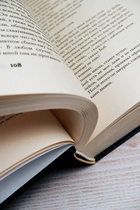 Книга Библиотекарист (Патрик де Витт) — 9