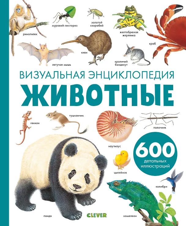 Книга Животные. Визуальная энциклопедия (Дельфин Гравье-Бадреддин) — 1