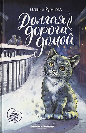 Долгая дорога домой