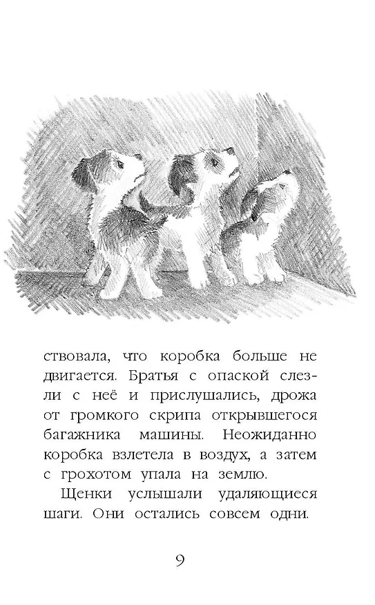 Книга Щенок Крошка, или Друзья навек : повесть (Холли Вебб) — 14