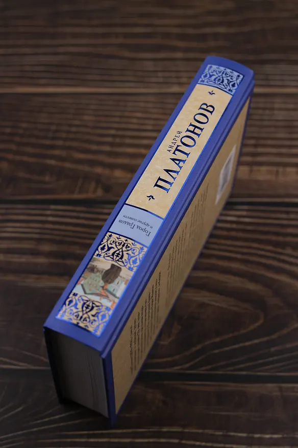 Книга Город Градов и другие повести (Андрей Платонов) — 8