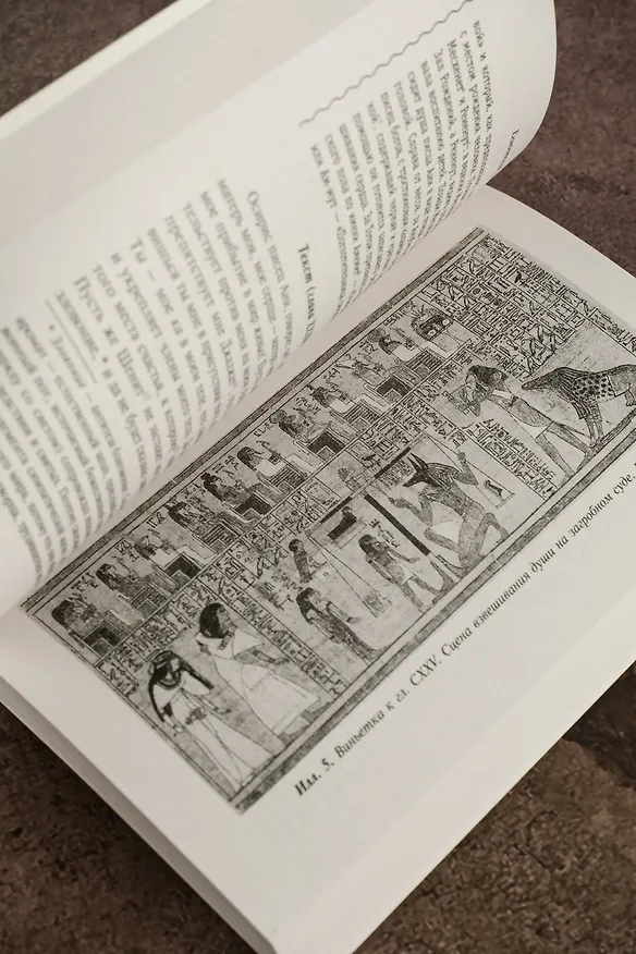 Книга Египетская книга мертвых (Эрнст Альфред Уоллис Бадж) — 9