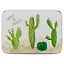 Шкатулка Кактусы (9х7х3) (металл) (12-21695-Paris) — 2626071 — 2