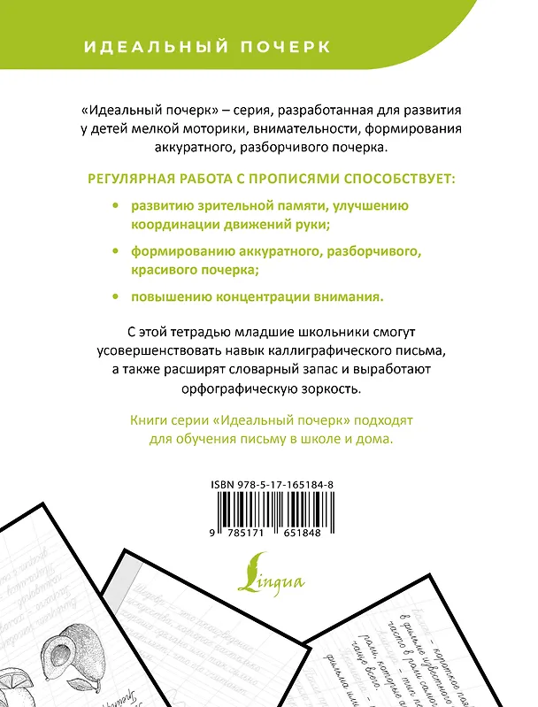 Книга Русский язык. Учимся писать слова-заимствования (В. Комарова) — 2