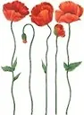 Наклейки Декоретто Маки (D2025) (50х70) 2310635 — 1