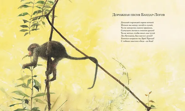 Книга Книга джунглей (Редьярд Киплинг) — 10