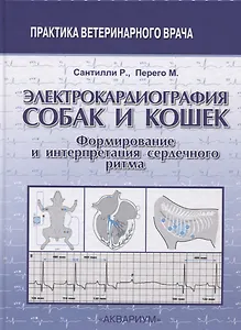 Электрокардиография собак и кошек. Формирование и интерпретация сердечного ритма
