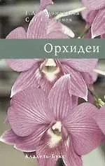 Орхидеи