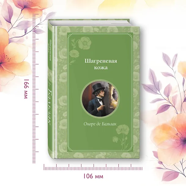 Книга Шагреневая кожа (Оноре де Бальзак) — 10