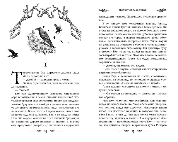 Книга Вороновый круг. Похитители снов (#2) (подарочное оформление) (Мэгги Стивотер) — 8